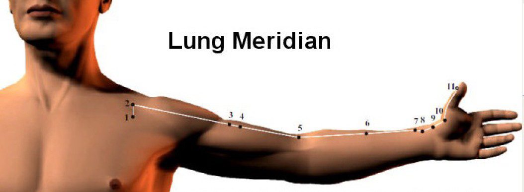 Lung Meridian Graphic Illustration